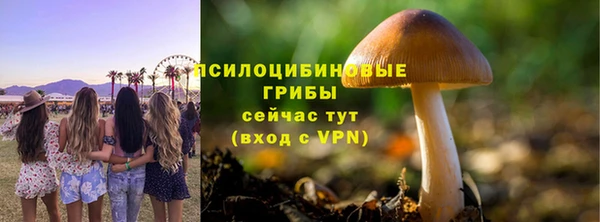 a pvp Киренск