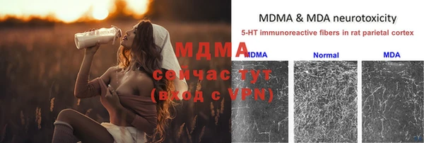 прущие грибы Нея