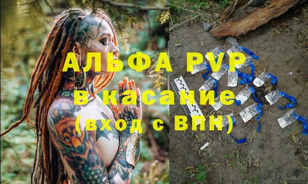 прущие грибы Нея