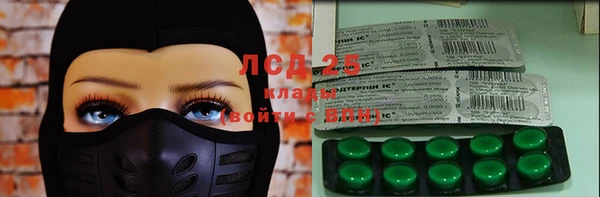 прущие грибы Нея