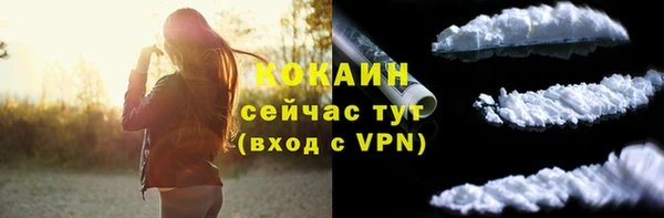 прущие грибы Нея