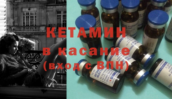 прущие грибы Нея