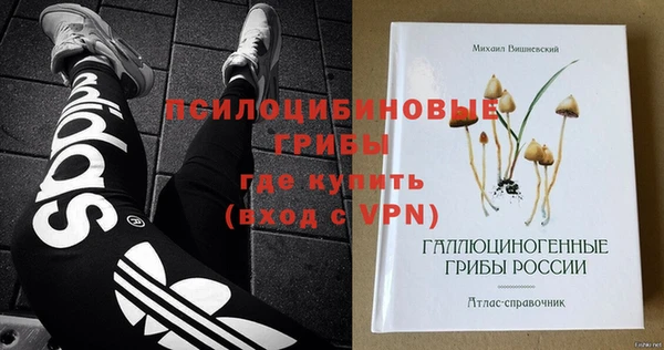 твердый Нефтегорск