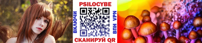 blacksprut как зайти  Тосно  Псилоцибиновые грибы прущие грибы 