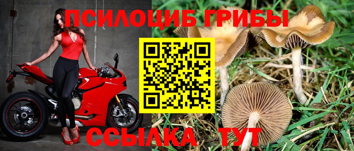 Галлюциногенные грибы Psilocybine cubensis  Галлюциногенные грибы MAGIC MUSHROOMS  Вход с VPN  Тосно 